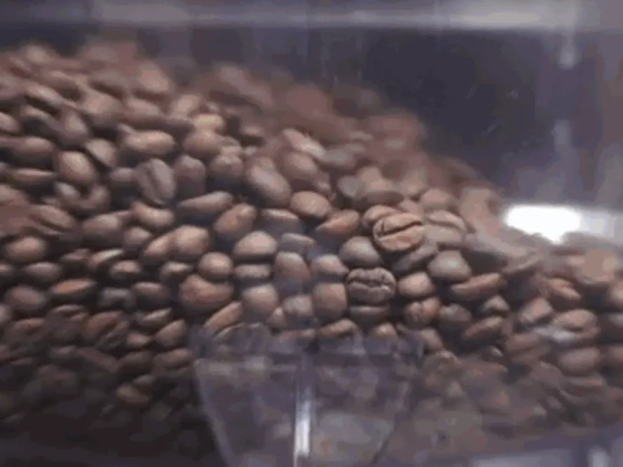 Kávéautomata piac mérete