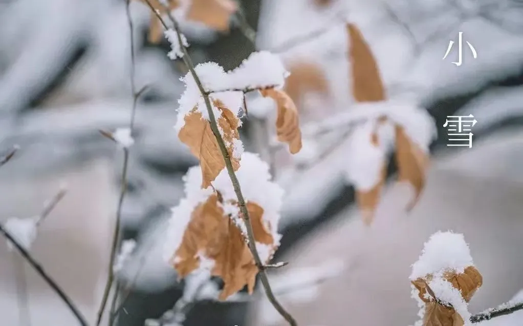 Kisebb hó – mit kell tudni